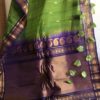 हरित - Handwoven Sico Gadwal saree