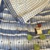 Indigo Checks - Handwoven Pure Bhujodi Kala Cotton Saree