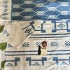 Parthavi - Pochampally Double Ikat Pure Cotton Saree